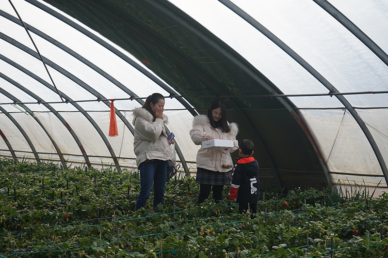 2021三八节里口山摘草莓